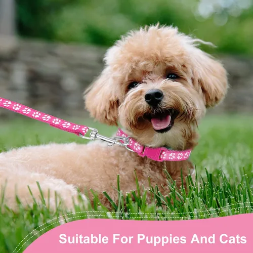 Vista 6 de BOUMUSOE Juego de 2 collares y correas para perro, collar para cachorro y correa con hebilla de liberación rápida, collar ajustable con estampado