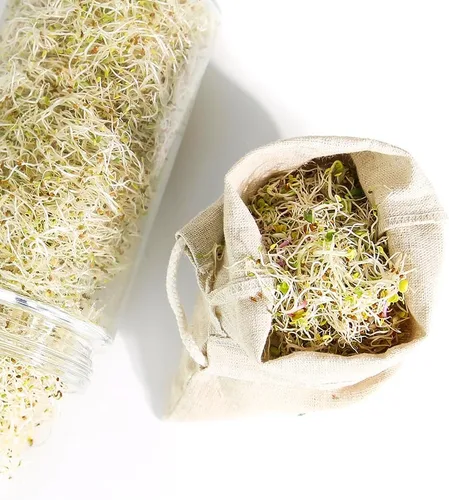 Vista 4 de Sproutman Bolsa de brotes de cáñamo: simplemente sumerge en agua, cuélgala y mira cómo crece