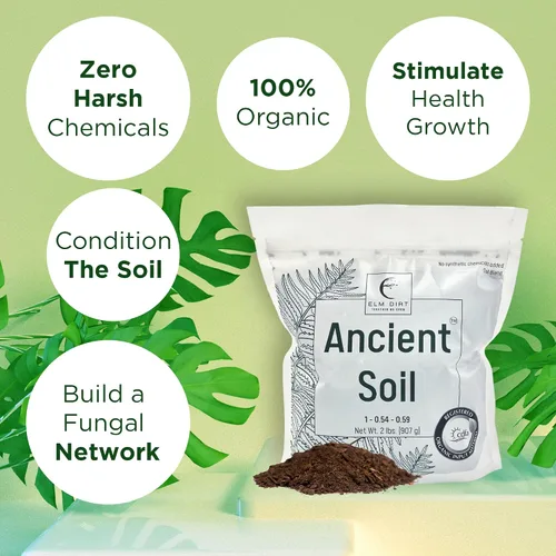 Vista 3 de Elm Dirt Ancient Soil Organic Garden Soil Enmienda del suelo, fundición