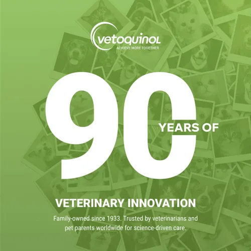 Vista 7 de Vetoquinol Sebozole Shampoo - Champú de limpieza profunda para perros, gatos y caballos, fórmula suave con ingredientes efectivos para uso