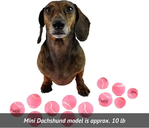 Vista 4 de Midlee Juego de 12 mini pelotas de tenis para perros chirriantes rosas de 1.5 pulgadas