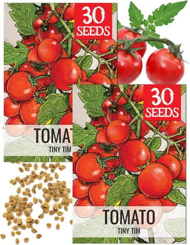 Vista 17 de Seed Needs Semillas de tomate para plantar tomates indeterminados de carne de res verdaderos, reliquia sin OMG y semillas de vegetales sin tratar