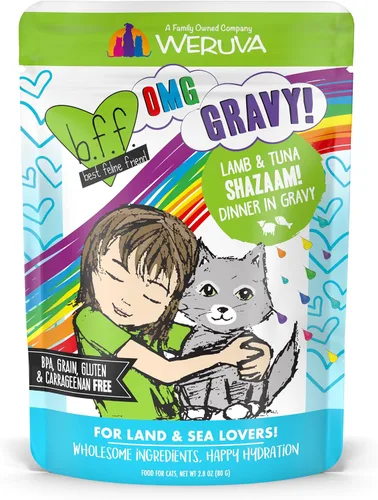 Vista 29 de Weruva B.F.F. OMG - Best Feline Friend Oh My Gravy!, Booya! - Alimento para gatos con carne de res y pollo en salsa, bolsa de 2.8 onzas