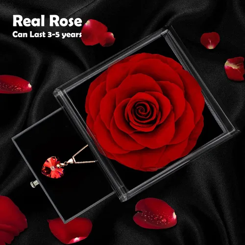Vista 2 de Forever Rose - Caja de regalo con collar Rosa eterna real con collar de plata de ley 925 en el interior, flor de rosa real encantada para el día