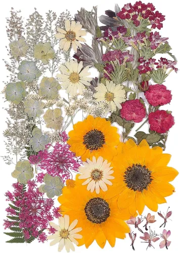 Vista 10 de Large Bulk Fall Dried Pressed Leaves for Craft, Real Dry Natural Flower Leaf Daisy for Resin Mold, Cake Decor, Phone Cases (Autumn Leaves)