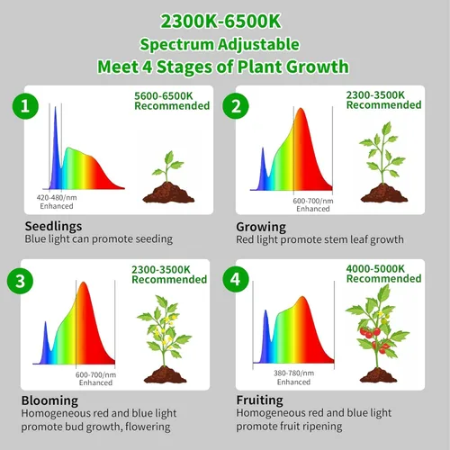 Vista 3 de chiphy Luces de cultivo, luz de planta de espectro completo de 85" para plantas de interior, temporizador de 4/8/12H, lámpara de cultivo de 40W, 10