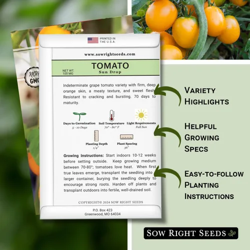 Vista 2 de Sow Right Seeds - Semillas de tomate Sun Drop para plantar - Variedad indeterminada sin OMG - Ideal para jardines al aire libre - Fácil de cultivar