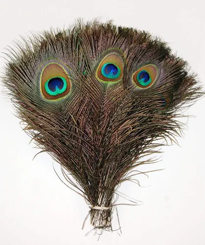 Vista 4 de 50 plumas de pavo real de 40 a 45 pulgadas para centros de mesa de novia de Halloween, decoración floral