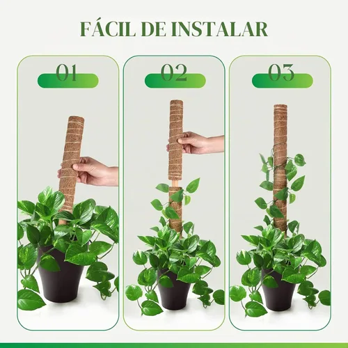 Vista 4 de Pisol Poste de musgo para plantas Monstera, soporte extensible para palitos