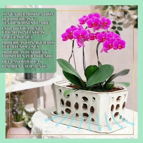 Vista 4 de Teenyyou 9.5" Orchid Pot Ceramic with Hole Saucer for Repotting, White Blanco