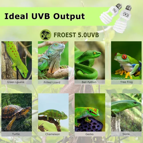 Vista 3 de HARTOMPET 5.0 UVB - Luz de reptil de 13 W, bombilla UVB compacta de bobina tropical, lámpara fluorescente UVA para camaleones, lagartos, tortugas