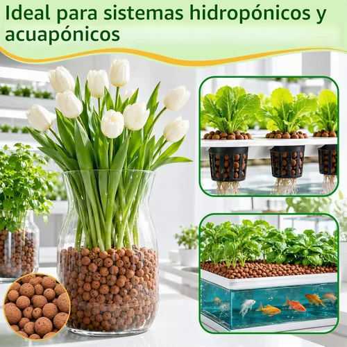 Vista 6 de Riare Guijarros de arcilla de leca orgánica de 2 libras para plantas, bolas