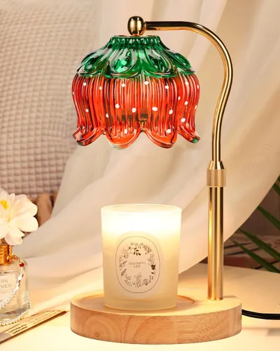 Vista 26 de Funistree Paquete de 2 lámparas calentadoras de velas de flores, lámpara de vela con temporizador, regalos de cumpleaños de Navidad para mujeres