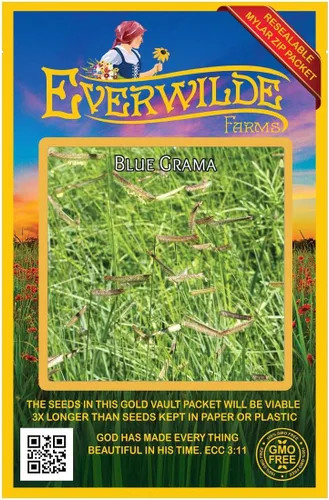 Vista 5 de Everwilde Farms - Semillas de hierba nativa Blue Grama de 1 onza - Gold Vault