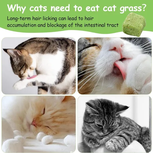 Vista 3 de 60g de hierba gatera para gatos, snacks de hierba gatera deshidratados al congelar para la dentición de gatitos, juguetes masticables comestibles