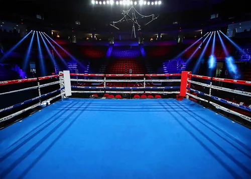 Vista 5 de Telones de fondo de anillo de boxeo para fotografía de 5 x 3 pies, para niños, niños, fiesta de cumpleaños, retrato de adultos, cartel de fiesta