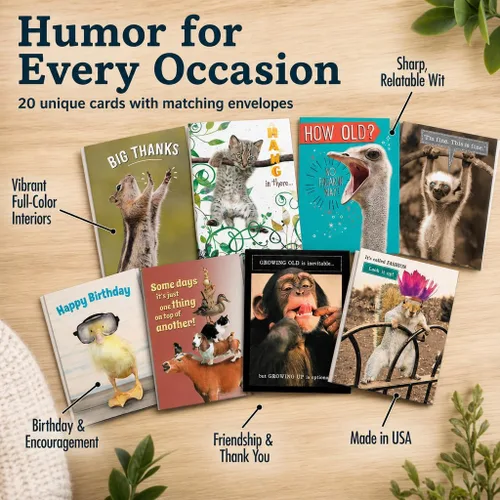 Vista 3 de Leanin' Tree Wildly Funny - Made In USA - 20 Tarjetas Surtidas con Sobres para Todas las Ocasiones, Tarjetas de Cumpleaños Suficientemente