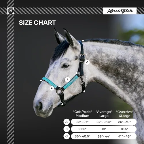 Vista 3 de Kensington Premium Nylon Halter Size: M-Small Horse Color: 2021 - Atlantis