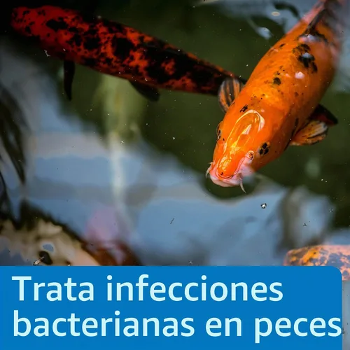 Vista 3 de API POND MELAFIX - Remedio para infecciones bacterianas de peces de estanque, botella de 16 onzas, azul (176B)