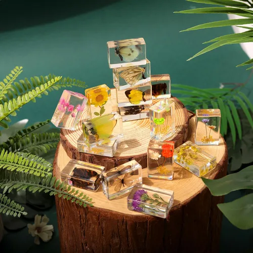 Vista 5 de 16 piezas de insectos mariposa en espécimen de resina, colección de bichos, pisapapeles, 16 estilos de espécimen real de bichos, kit de bichos