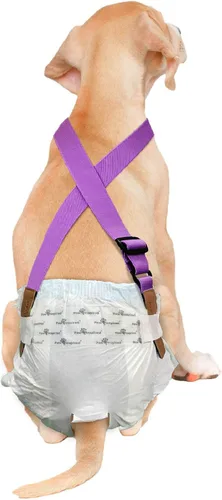 Vista 13 de Paw Inspired Tirantes de pañales para perros con cierres de velcro Tirantes elásticos ajustables para pañales desechables y lavables para mujeres