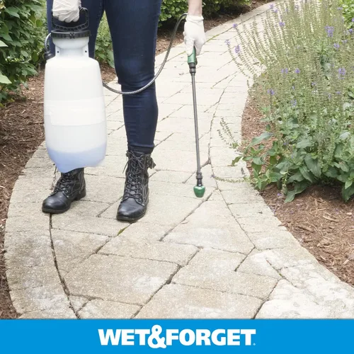 Vista 3 de Wet & Forget Molde de musgo para exteriores, removedor de manchas de hongos y algas, 2 x 0.75 galones