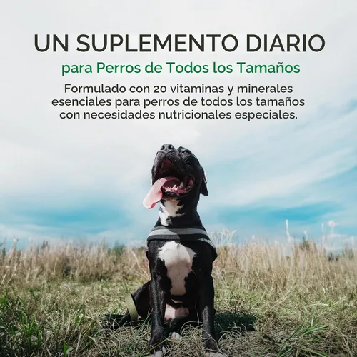 Vista 3 de Plus Suplemento multivitamínico y mineral para perros con necesidades nutricionales especiales, tableta masticable, botella de 60 unidades 20