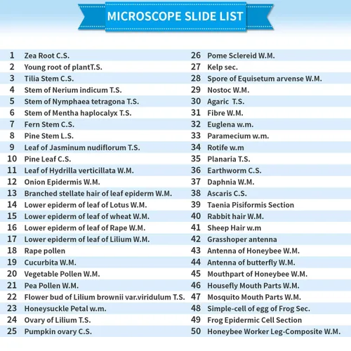 Vista 8 de Diapositivas preparadas del microscopio con las muestras 100Pcs para la ciencia de los estudiantes de los niños Animal Plant Insect Specimens