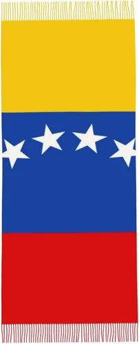 Vista 2 de PRAHUCE Bufanda envolvente de delfín para mujeres y hombres chal grande de invierno suave y cálido chal