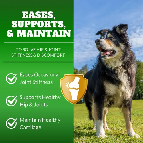 Vista 2 de Suplemento masticable para articulaciones de perros con glucosamina, MSM y Omega 3, apoyo articular para perros mayores y de razas grandes