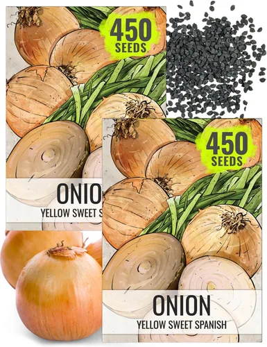 Vista 21 de Seed Needs Semillas de cebolla roja borgoña para plantar reliquia y sin OMG, 1 paquete