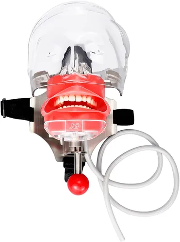 Vista 5 de NSKI Simulador Dental Nissin Manikin Phantom Head Dental Phantom Head Modelo Banco Soporte para Educación Dentista