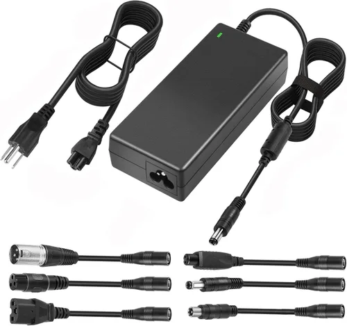 Vista 8 de TREE.NB Cargador eléctrico de la vespa de 42V 2A para la batería del Li-ion