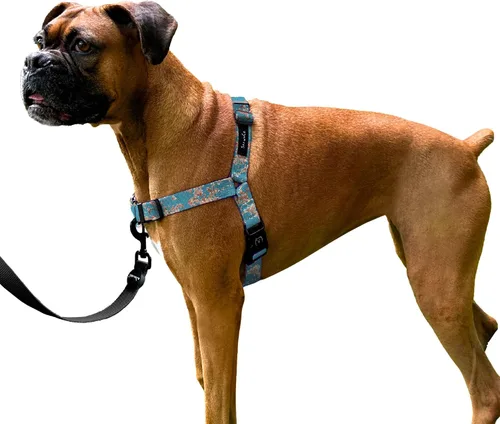 Vista 18 de ShawnCo Dream Walk Arnés para Perros Sin Tirones - Ajustable, Cómodo, Fácil de Usar, Cabestro para Mascotas para Ayudar a Detener los Tirones