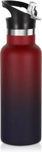 Vista 26 de Volhoply Botella de agua aislada para niños de 17 onzas, botellas de agua de acero inoxidable con tapa con pajilla, botella de agua de metal al
