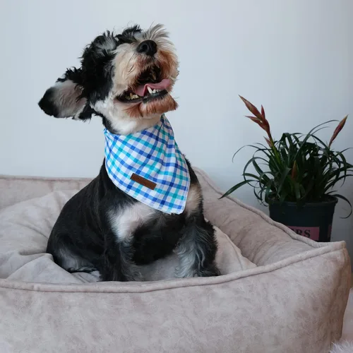 Vista 5 de Bandana de verano para mascotas - Bufanda triangular de rejilla de algodón cómoda para cachorros, pañuelo lavable para perros o gatos, niños