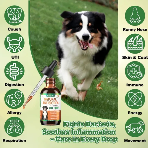 Vista 3 de Antibióticos naturales para perros – Antibióticos para perros, suplementos nutricionales para problemas de piel, alivio de picazón, suplemento