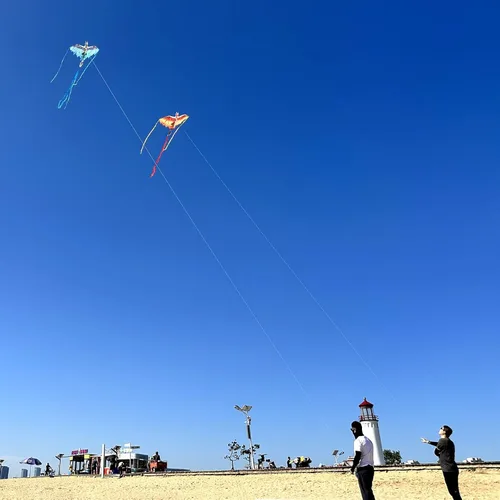 Vista 6 de Mint's Colorful Life Dragon Kite for Kids & Adults, Easy to Fly Best Beach Kites for Beginners, 300ft Kite String Included Verde