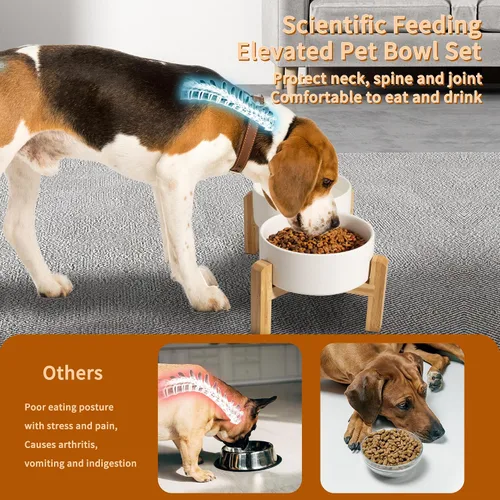 Vista 3 de Elevated Ceramic Dog Bowl, 3.6 Cups Dog Food and Water Bowl Set with Stand Blanco