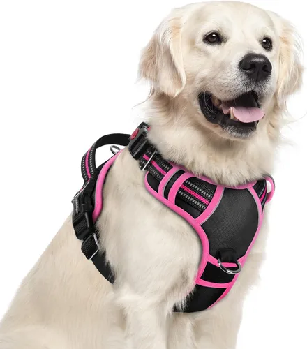 Vista 10 de Rabbitgoo - Arnés para perro de tamaño pequeño, sin tirones, 3 hebillas, fácil de poner y quitar Negro