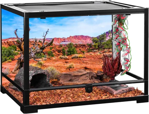 Vista 4 de AWERT 24x12 pulgadas Reptil Hábitat Fondo Cielo Azul Oasis Naranja Desierto Terrario Fondo