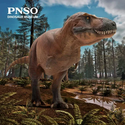 Vista 2 de Serie de Museos de Dinosaurios PNSO: Cameron el Tiranosaurio Rex T. Rex Exhibit Set de 13.8" - Modelo de fósil de calavera - Mandíbula de apertura