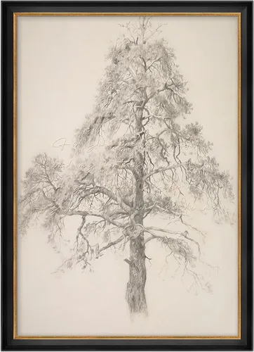 Vista 127 de MUDECOR Lienzo enmarcado prémium para pared, pinos nevados en bosque de invierno, ilustraciones modernas, arte contemporáneo, escénico, divertido