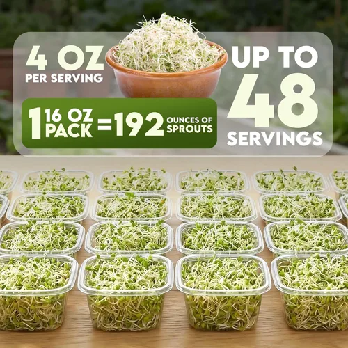 Vista 3 de Nature Jims Sprouts Semillas de alfalfa – Kit de cultivo de brotes orgánicos sin OMG para plantar – Bolsa resellable premium para semillas frescas