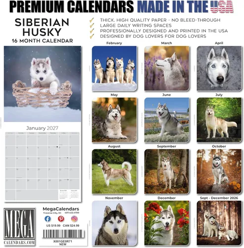 Vista 7 de Razas de Perros 2017 SIBERIAN HUSKY