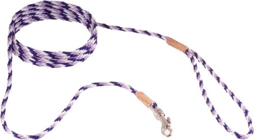 Vista 217 de Alvalley Correa para perros estilo broche – Correa de nailon estilo broche para perros – Fácil de manejar – Perfecto para perros pequeños, medianos