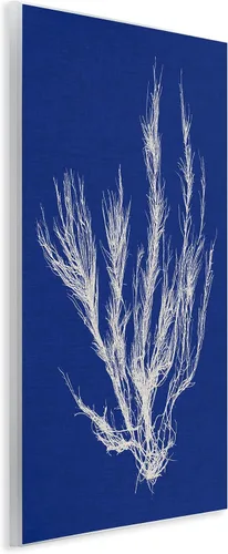 Vista 2 de Stupell Industries 'Coral Seaweed Blue White Beach Design' Placa de pared Sin marco