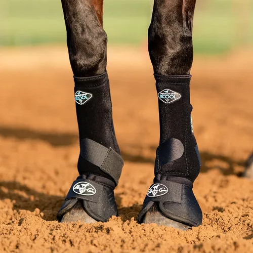 Vista 2 de Professional's Choice 2XCOOL Botas de Medicina Deportiva para Caballos Diseño Protector y Transpirable para Máxima Comodidad, Durabilidad
