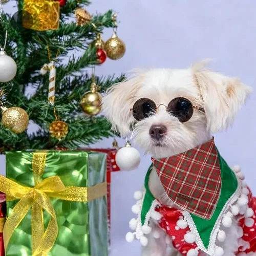 Vista 5 de MR. CHUBBYFACE - Bandana de Navidad para perro, bufanda lavable a cuadros de Navidad para cachorros, bandana ajustable para mascotas para perros