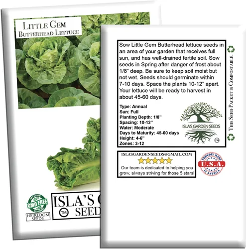 Vista 5 de Little Gem Butterhead - Semillas de lechuga (Lactuca sativa) – Más de 1,000 semillas de reliquia sin OMG de Isla's Garden Seeds, cabezas compactas